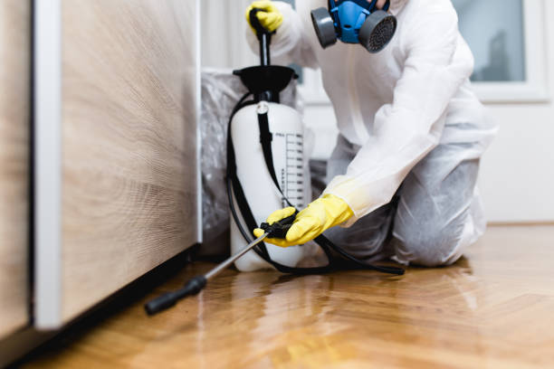 Best Pest Prevention Services  in Lead, SD