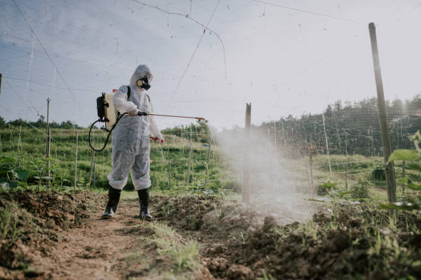 Best Commercial Pest Control Services  in Lead, SD