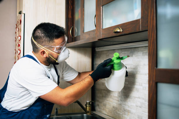 Trusted Lead, SD Pest Control Experts