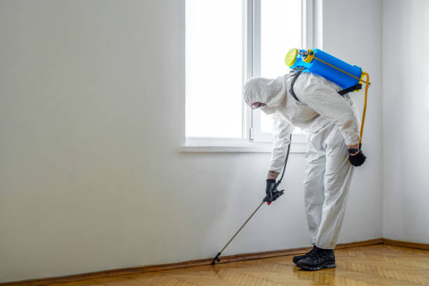Best Best Pest Control Companies  in Lead, SD