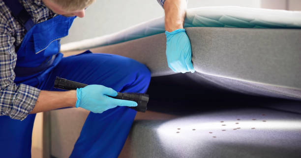 Best Pest Inspection Near Me  in Lead, SD