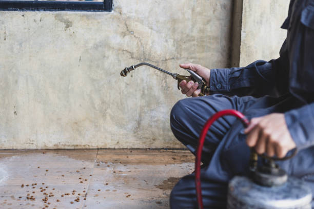 Best Best Pest Control Companies  in Lead, SD